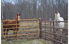 Property photo 49 - REAL ESTATE & FARM EQUIPMENT AUCTION IN ALLEN COUNTY, INDIANA